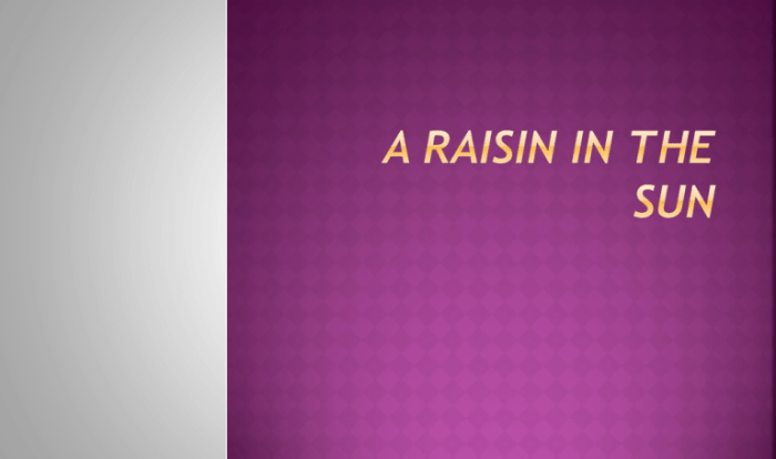 Raisin in the sun literary devices