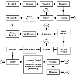 Haccp plan write pdf presentation