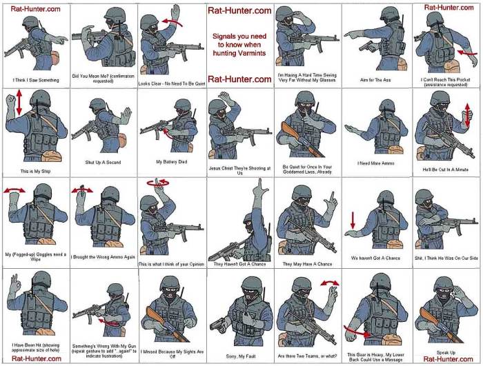 Hand and arm signals army powerpoint