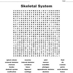 Skeletal system word search answer key