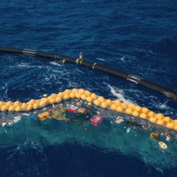 Horizon spill deepwater oil workers cleanup beach